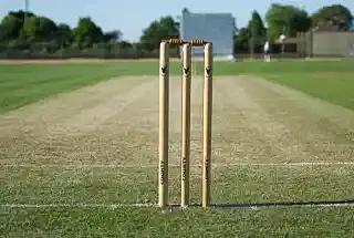 CRICKET PITCH at Hiranandani Fortune City